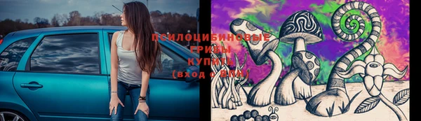 метадон Алексин