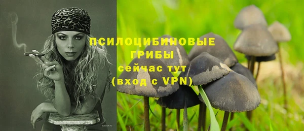 дурь Алексеевка