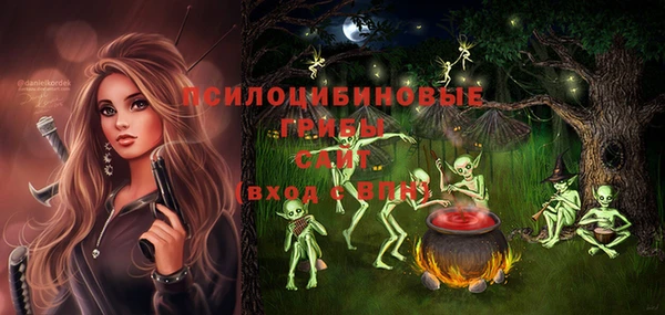 метадон Алексин