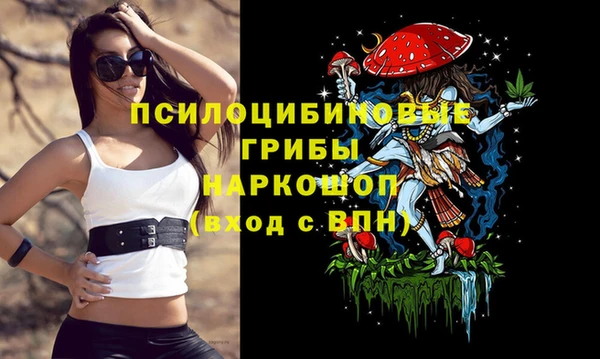 дурь Алексеевка