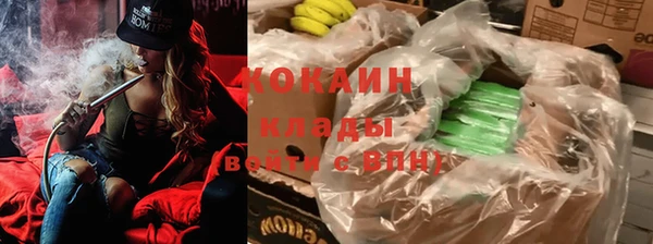 стафф Ельня