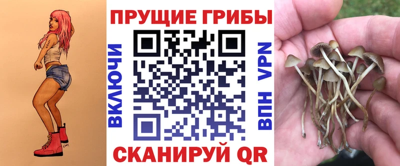 Псилоцибиновые грибы Magic Shrooms  mega сайт  Тюмень 
