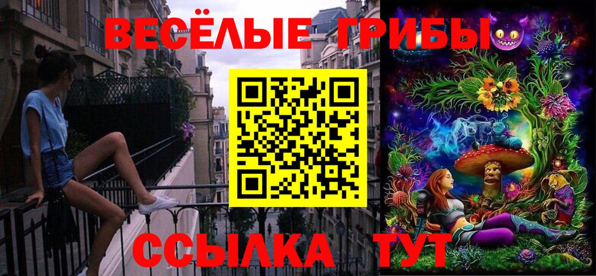 Псилоцибиновые грибы Psilocybe Тюмень